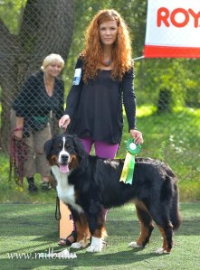 Bokseru 2.gr.izst._26.08.2012.